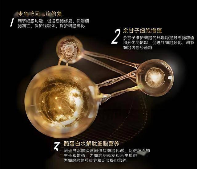 XM外汇官网新研究将啤酒酵母变成智慧药物的“微型工厂”