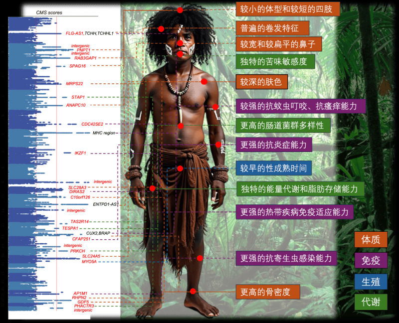 外汇xm平台代理养老变享老 数字适老开启“银发友好”新时代